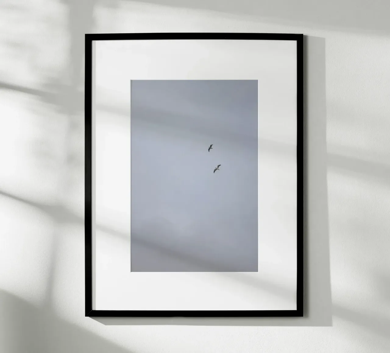 Seagulls poster da Wild Horizon Studio