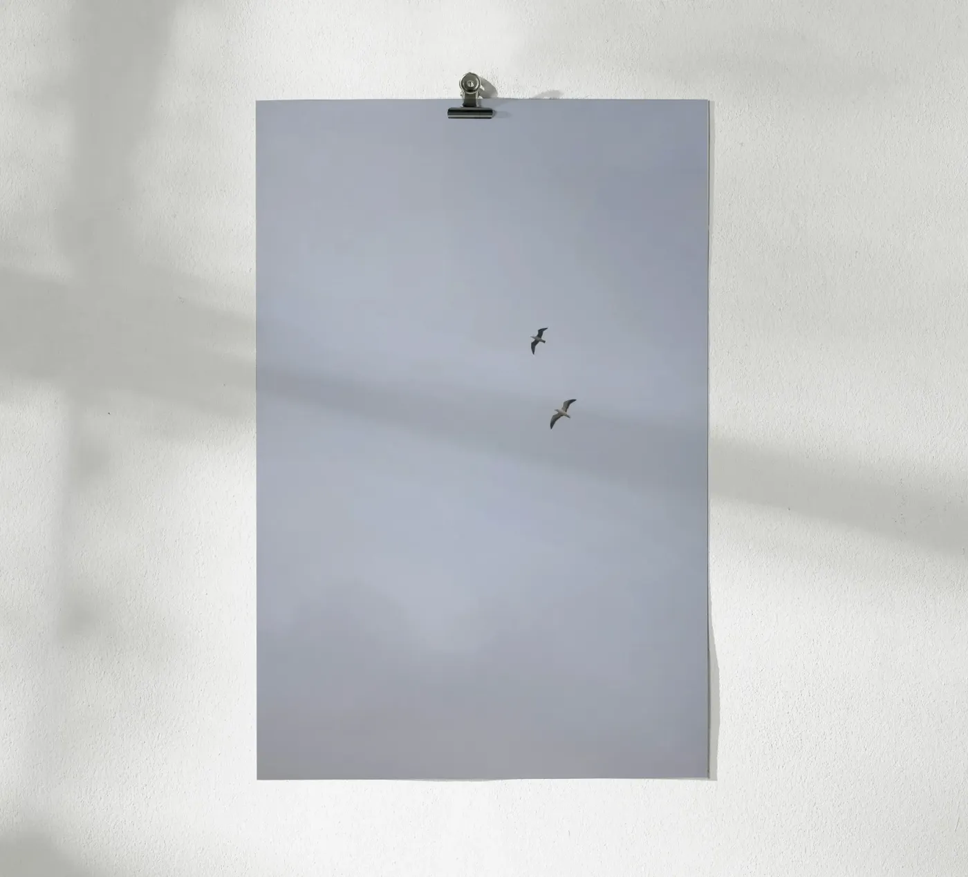 Seagulls poster da Wild Coast Studio