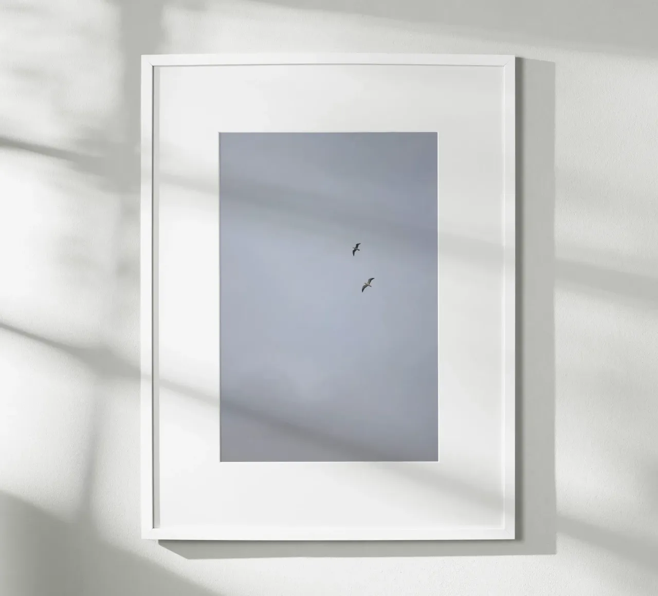 Seagulls poster da Wild Horizon Studio