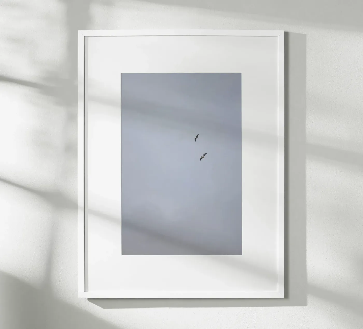 Seagulls poster da Wild Coast Studio