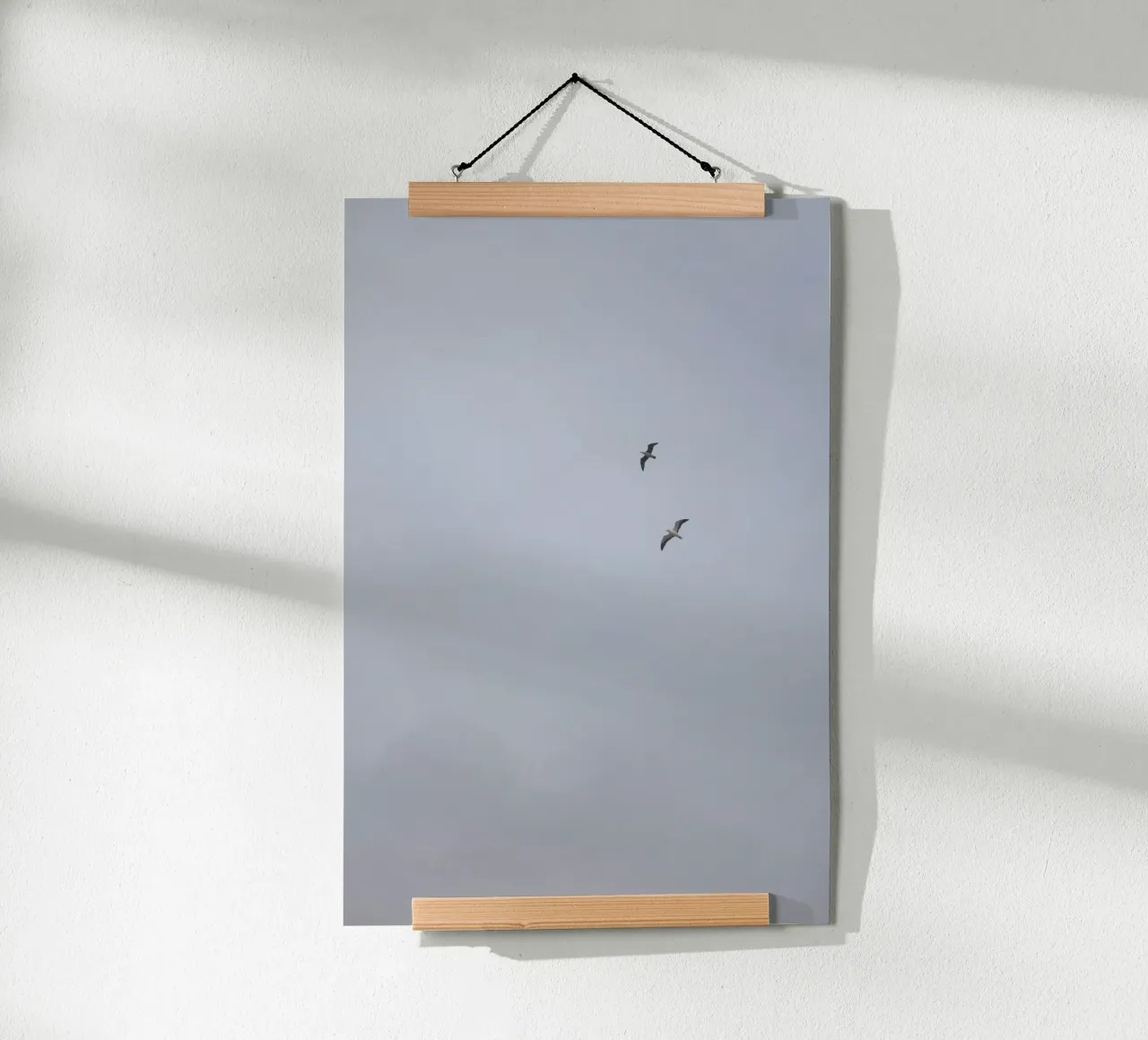 Seagulls poster da Wild Horizon Studio