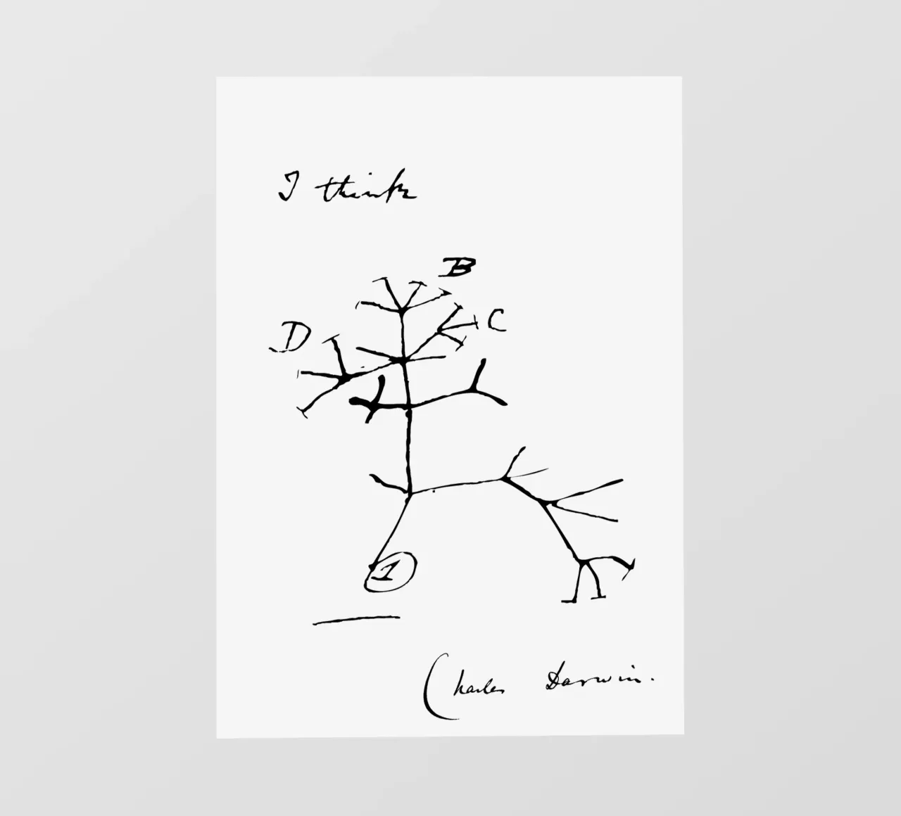 Charles Darwin - 'Io penso' - Biologia - Idea regalo scienziato pellicola backlit da Mashtup