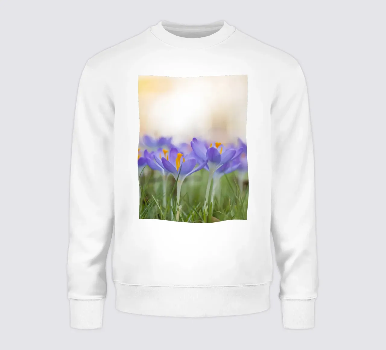 Risveglio di primavera: Crochi in fiore felpa da Curious Collections by Marielle Leenders