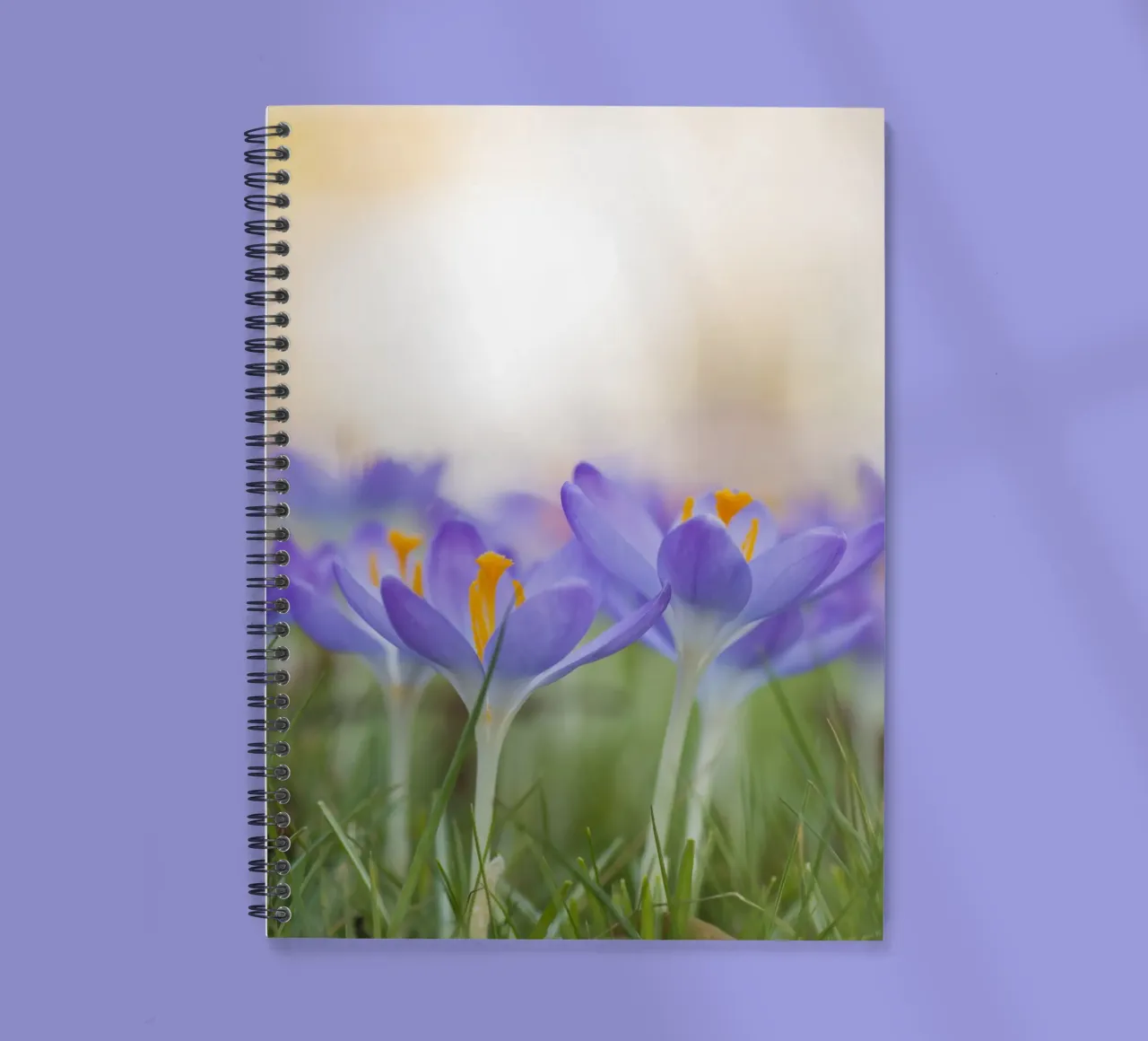 Spring Awakening: Crocuses in Bloom spiral notebook by Curious Collections by Marielle Leenders