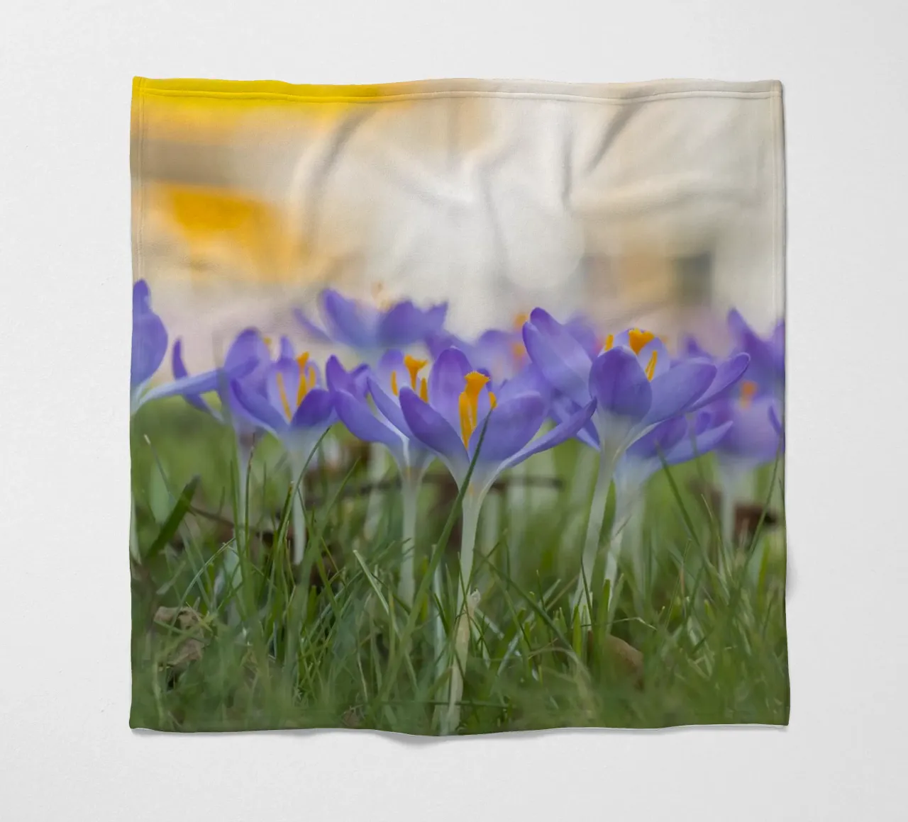 Spring Awakening: Crocuses in Bloom fleece blanket by Curious Collections by Marielle Leenders