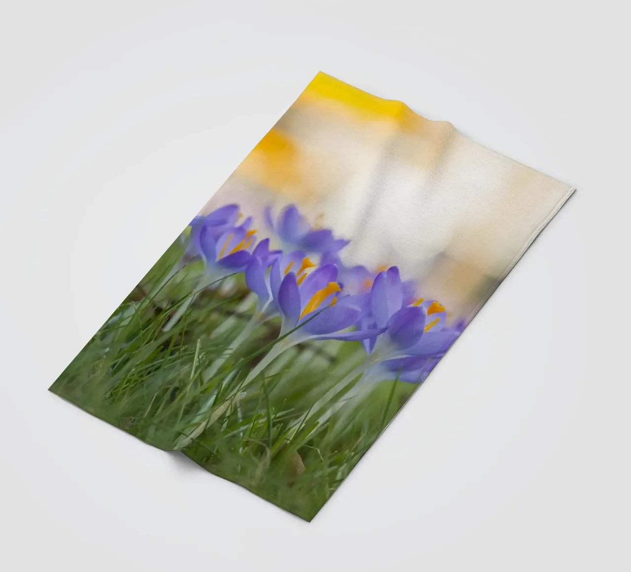 Spring Awakening: Crocuses in Bloom fleece blanket by Curious Collections by Marielle Leenders