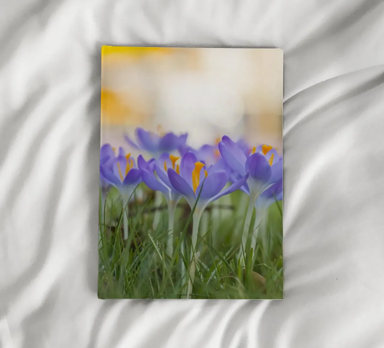 Spring Awakening: Crocuses in Bloom notebook by Curious Collections by Marielle Leenders
