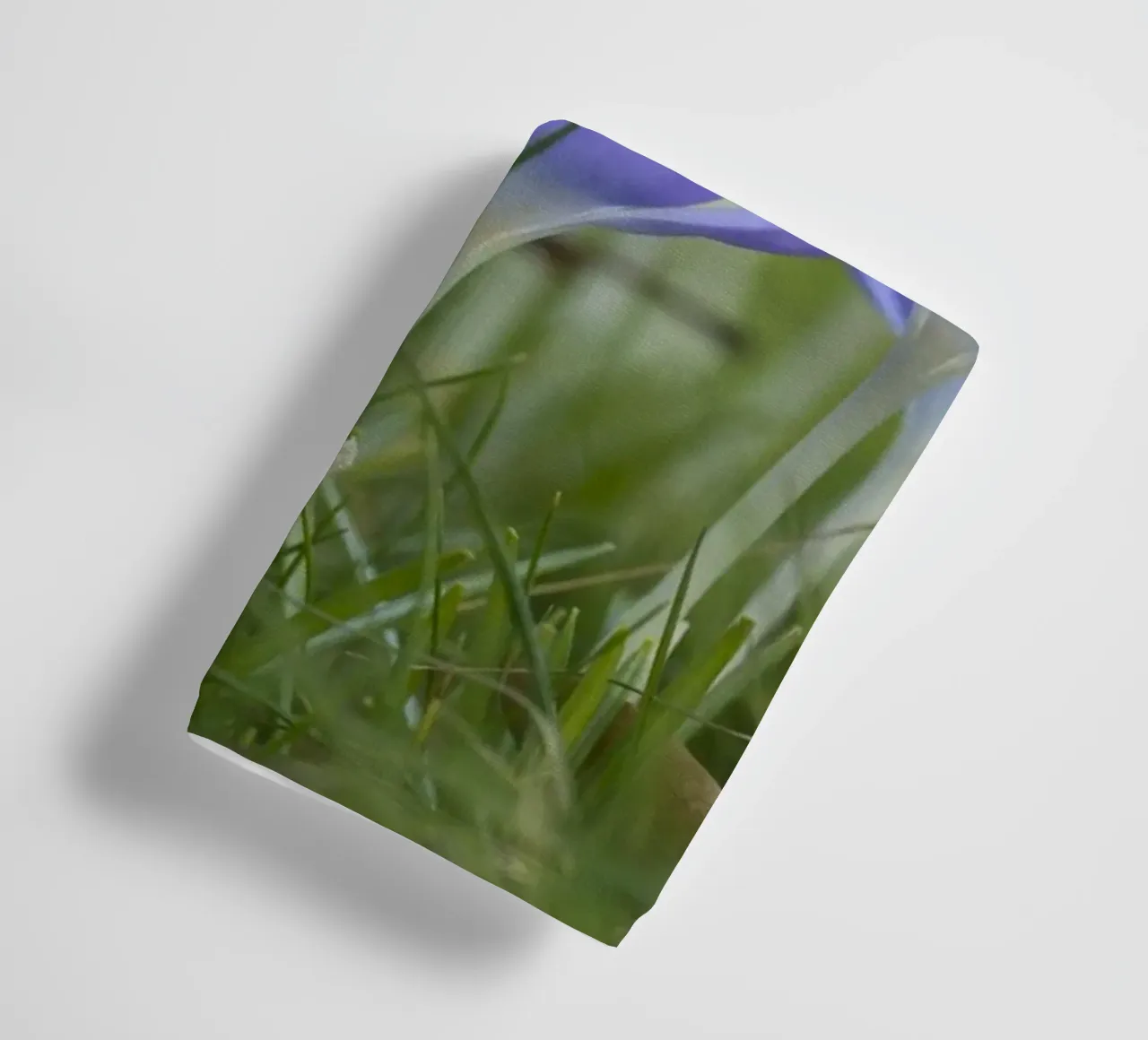 Spring Awakening: Crocuses in Bloom towel by Curious Collections by Marielle Leenders