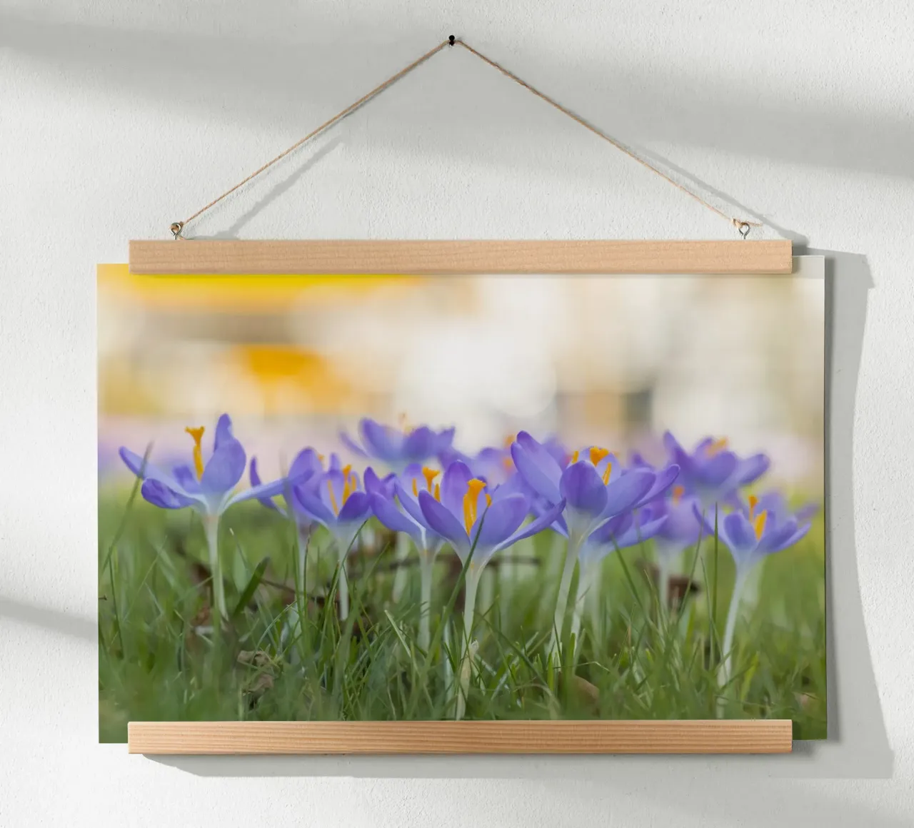 Spring Awakening: Crocuses in Bloom hahnemühle by Curious Collections by Marielle Leenders