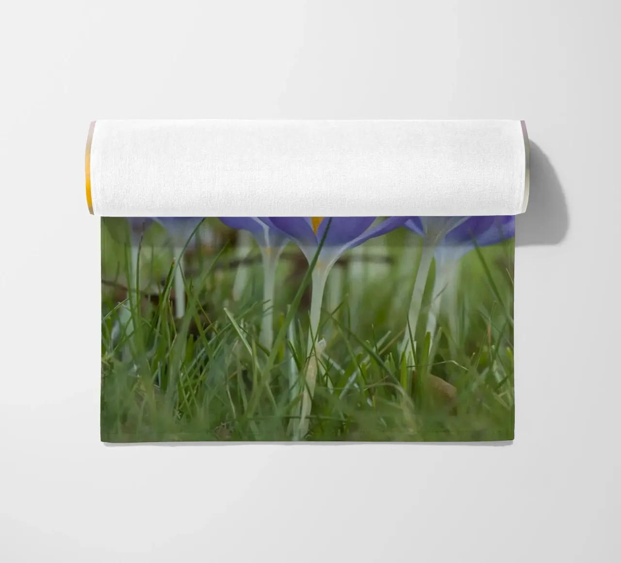 Spring Awakening: Crocuses in Bloom beach towel by Curious Collections by Marielle Leenders