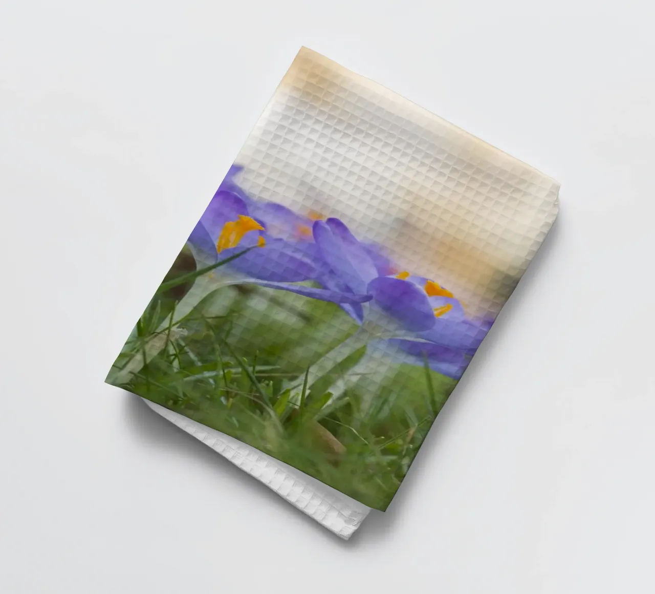 L'éveil du printemps : Les crocus en fleurs torchon de Curious Collections by Marielle Leenders