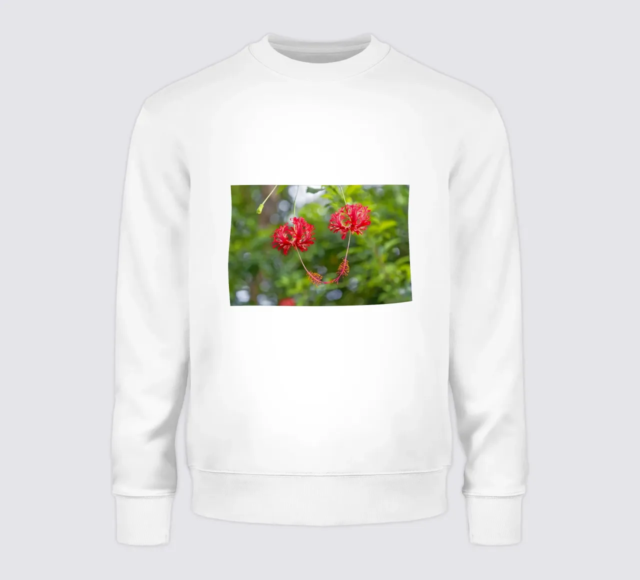 Romantic Touch: Hibiscus Blooms felpa da Curious Collections by Marielle Leenders