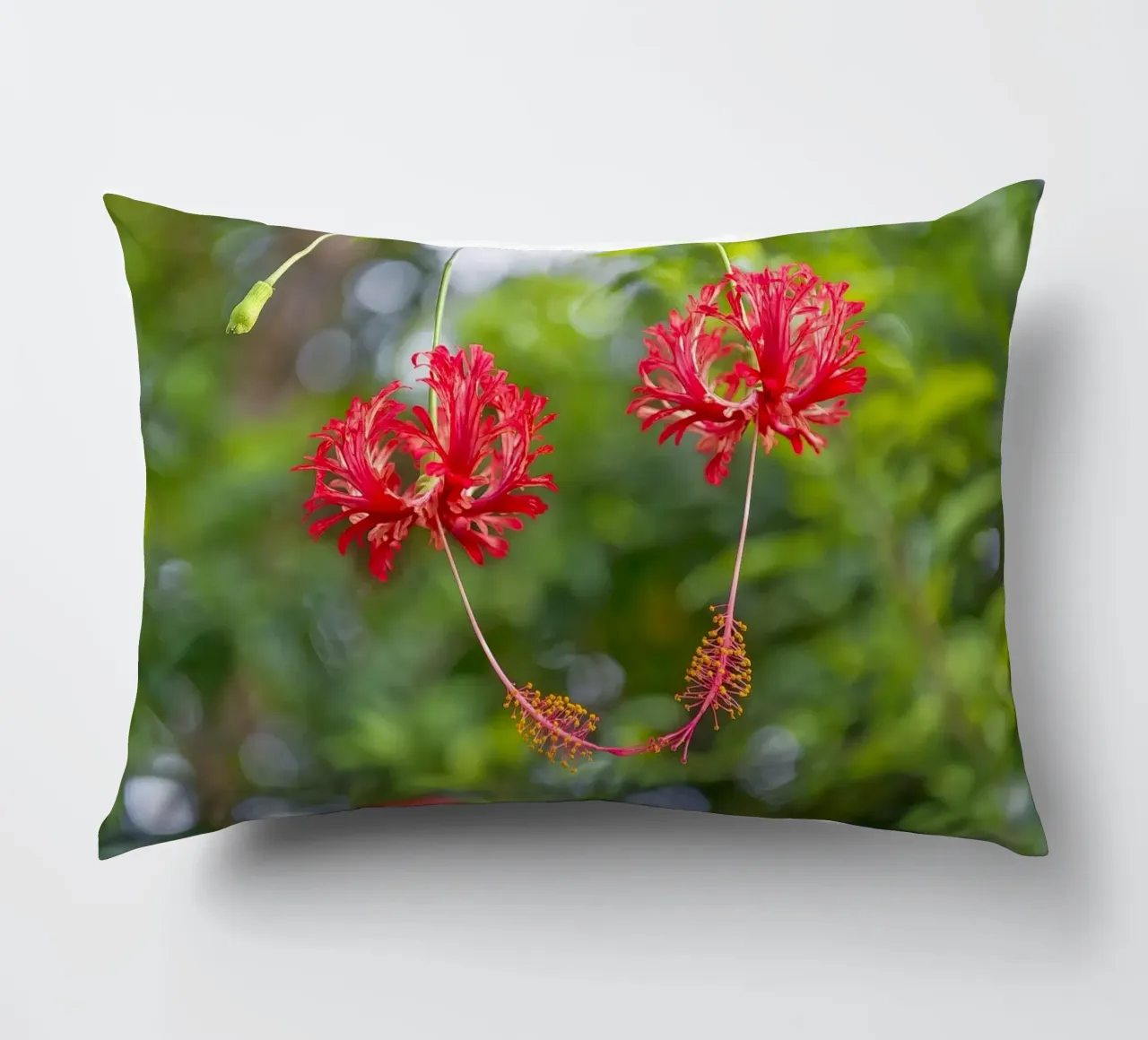 Romantic Touch: Hibiscus Blooms cuscino da Curious Collections by Marielle Leenders