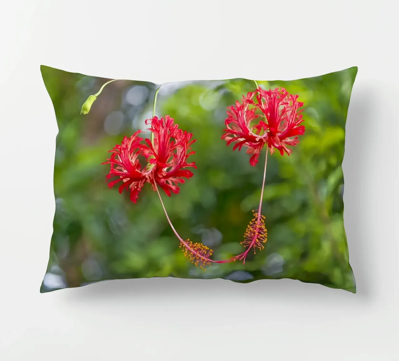 Romantic Touch: Hibiscus Blooms cuscino da Curious Collections by Marielle Leenders