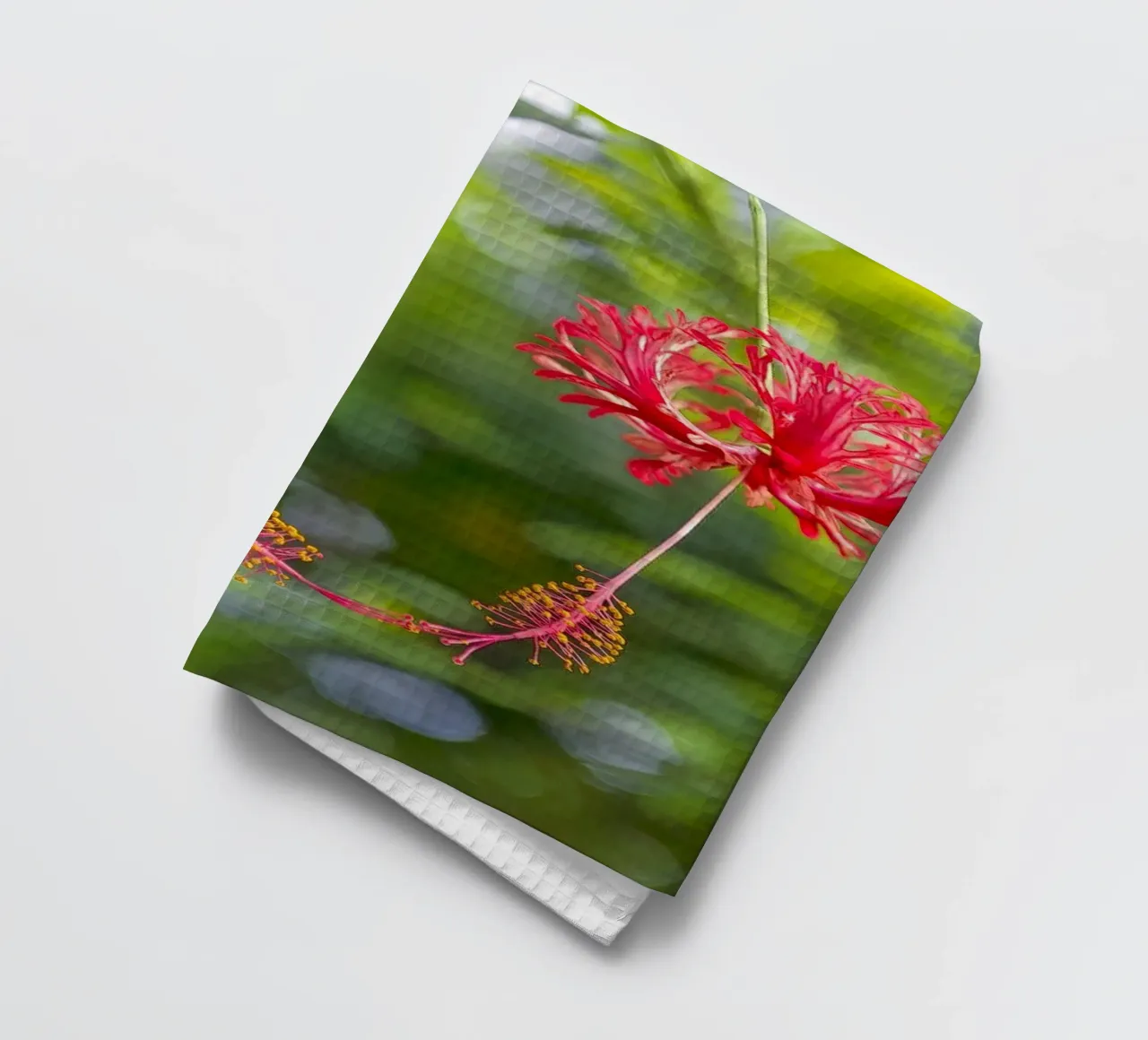 Romantic Touch: Hibiscus Blooms canovaccio da cucina da Curious Collections by Marielle Leenders