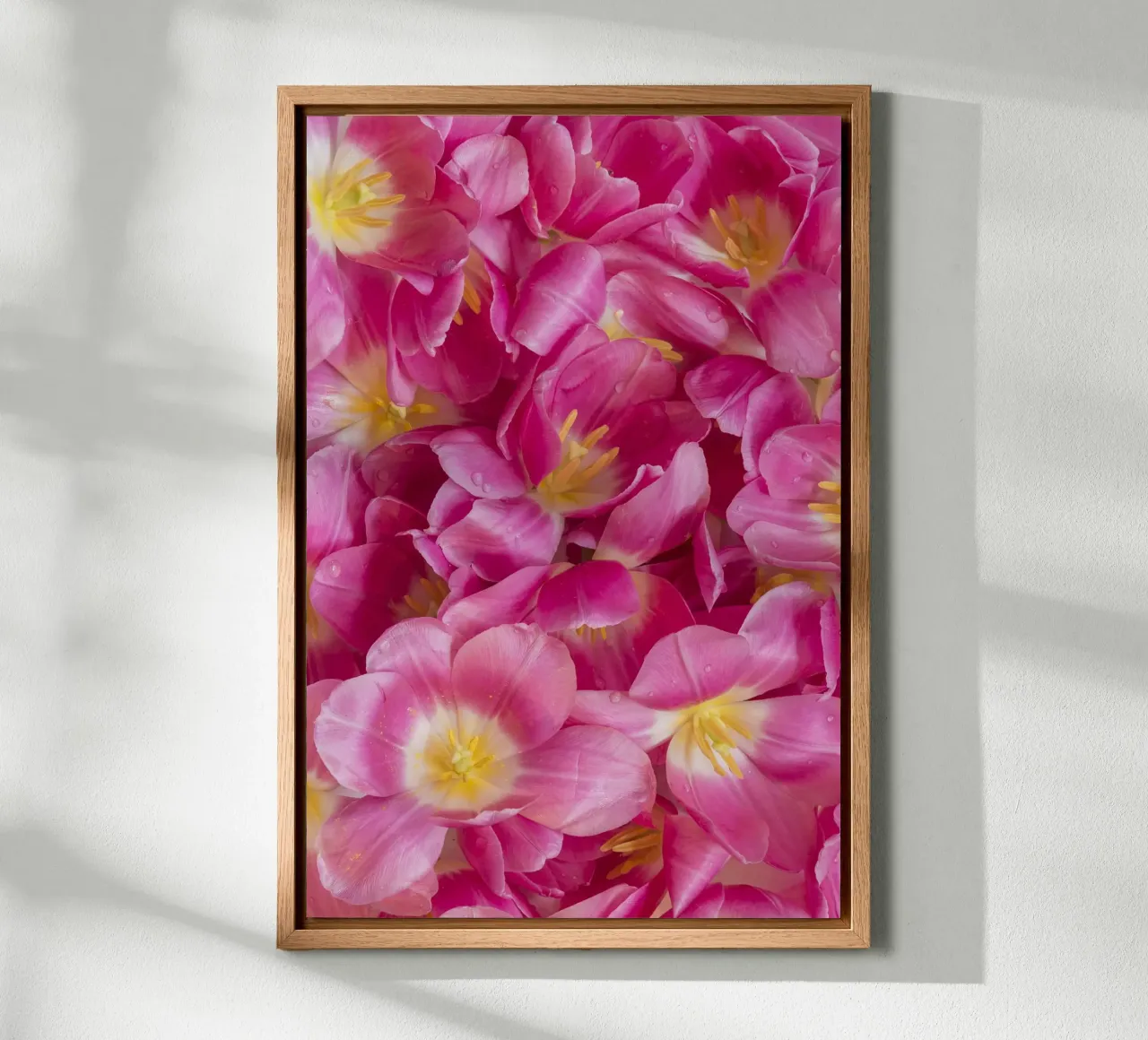 Spring Serenity: A Beautiful Pink Tulips alu-dibond by Curious Collections by Marielle Leenders