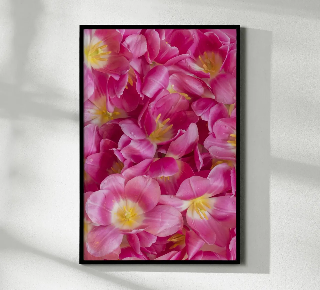 Serenità di primavera: Un bel tulipano rosa carta hahnemühle da Curious Collections by Marielle Leenders