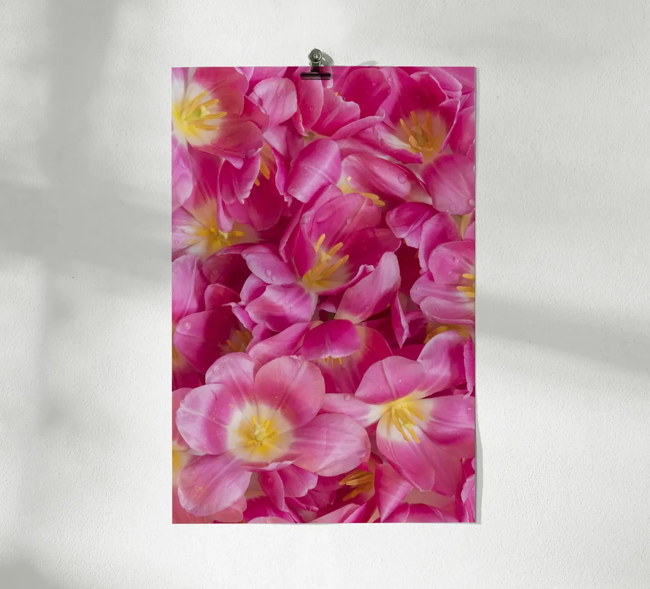 Serenità di primavera: Un bel tulipano rosa carta hahnemühle da Curious Collections by Marielle Leenders