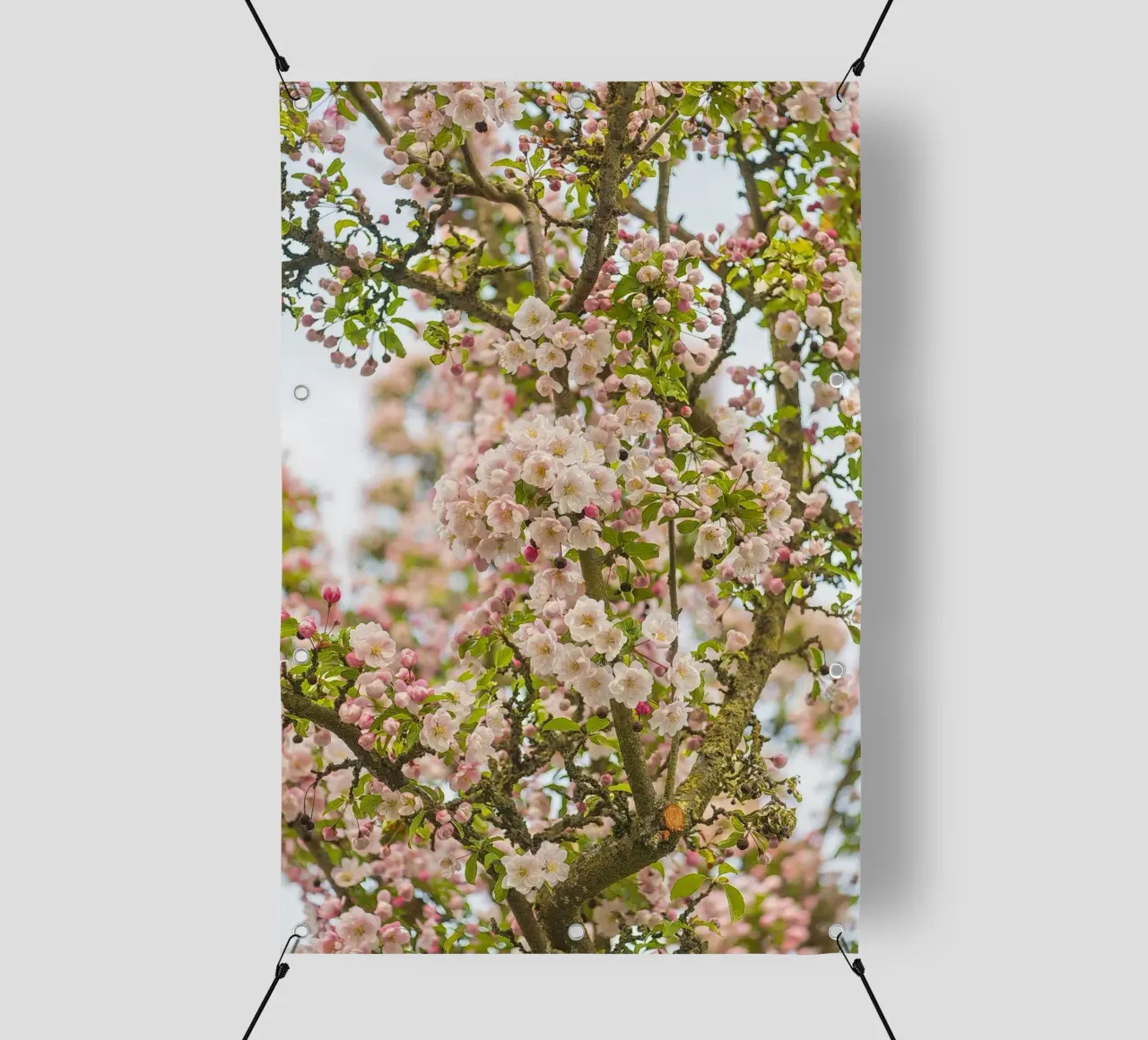 Incantevole fiore rosa telo in pvc da Curious Collections by Marielle Leenders