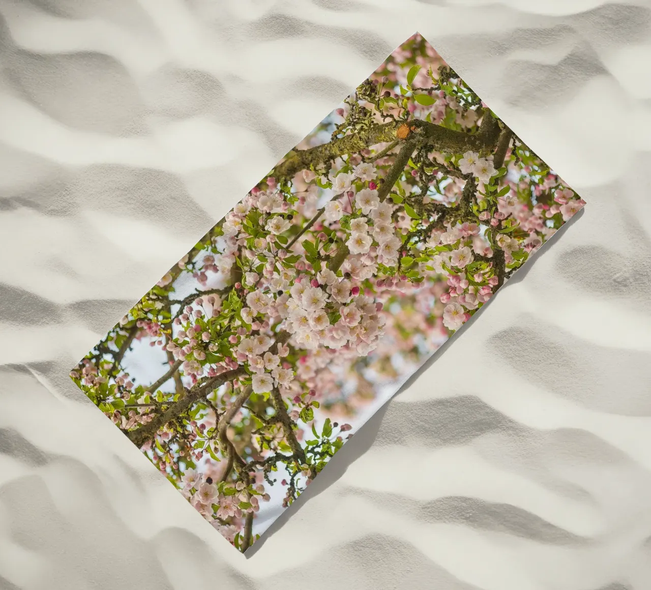 Incantevole fiore rosa telo mare da Curious Collections by Marielle Leenders
