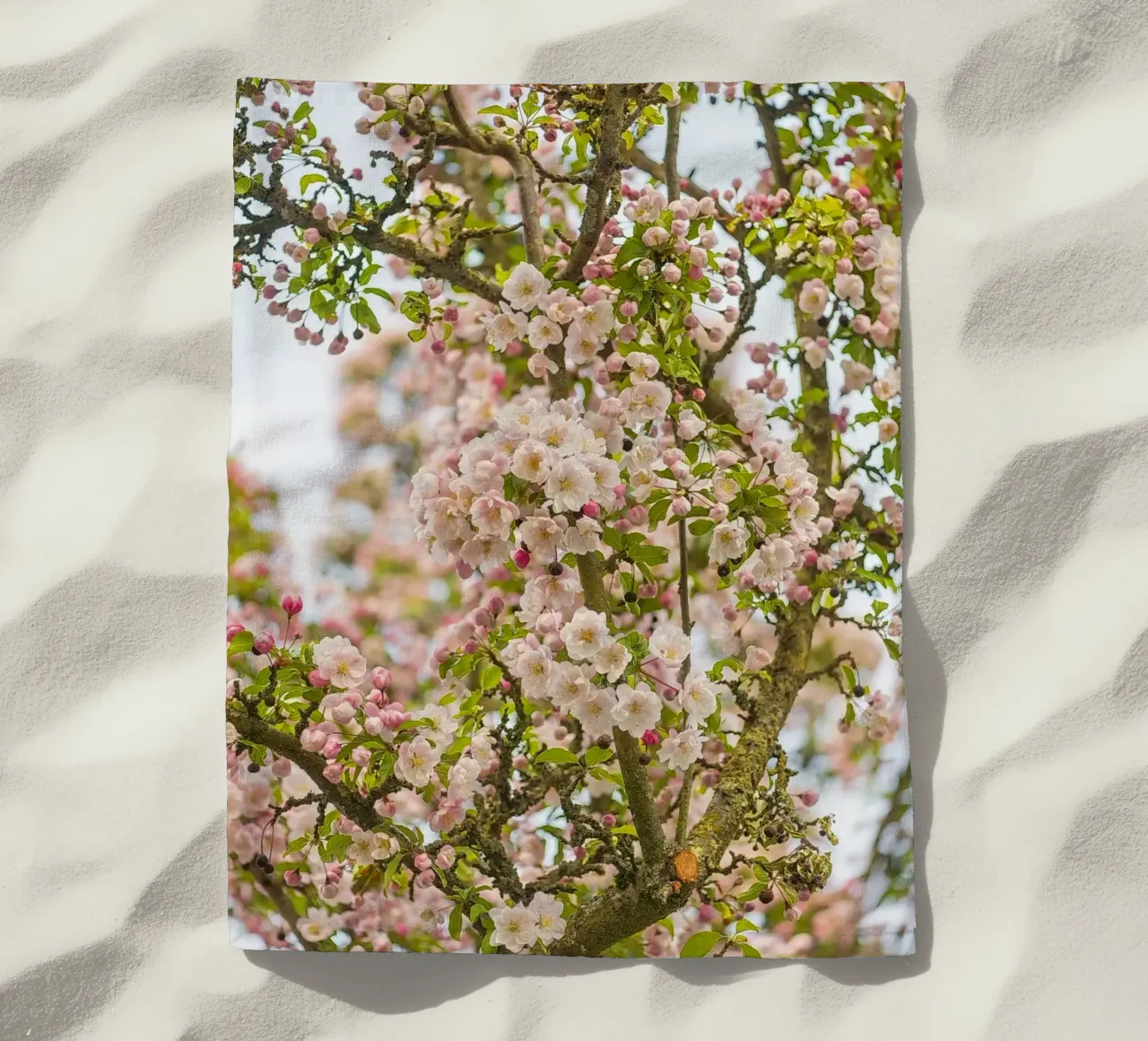 Incantevole fiore rosa telo mare da Curious Collections by Marielle Leenders