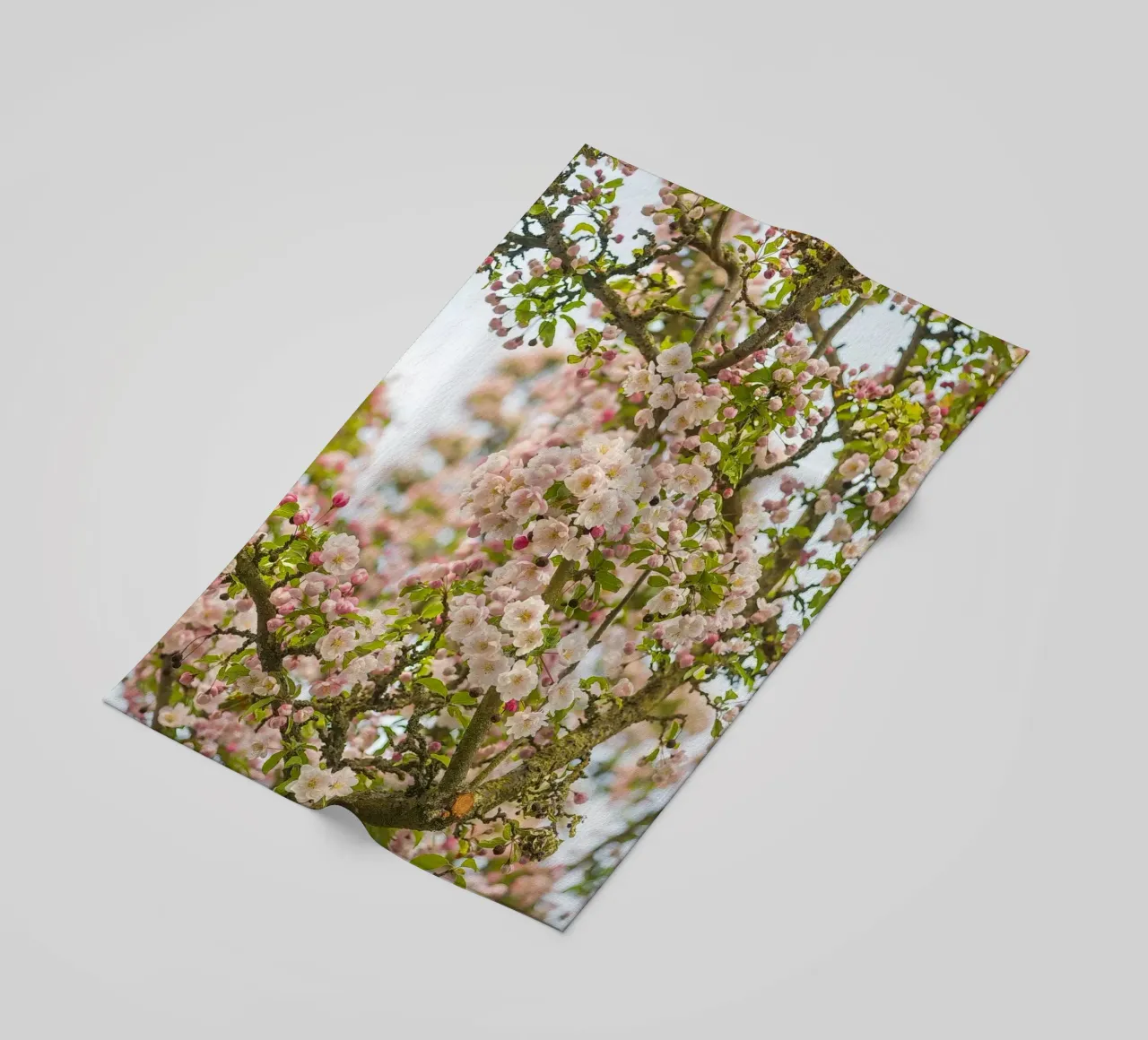 Incantevole fiore rosa telo mare da Curious Collections by Marielle Leenders