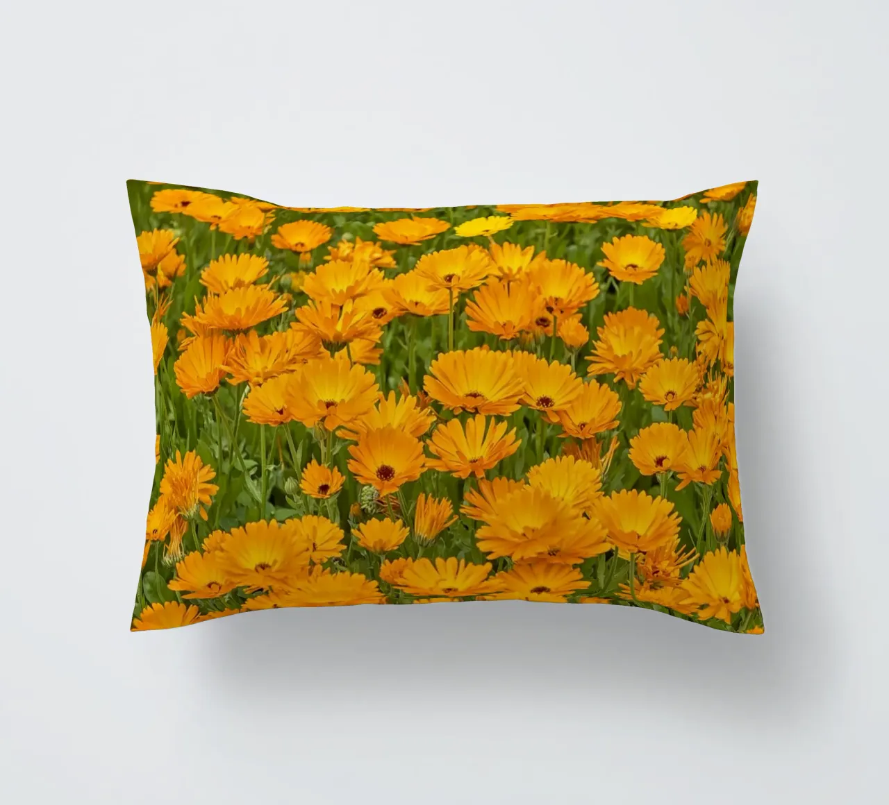 Crogiolarsi nella bellezza luminosa di un campo di fiori di Calendula cuscino da Curious Collections by Marielle Leenders