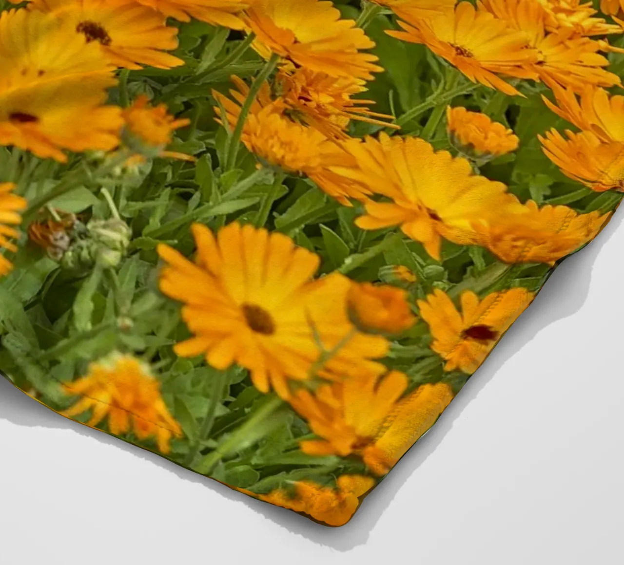 Crogiolarsi nella bellezza luminosa di un campo di fiori di Calendula coperta in pile da Curious Collections by Marielle Leenders