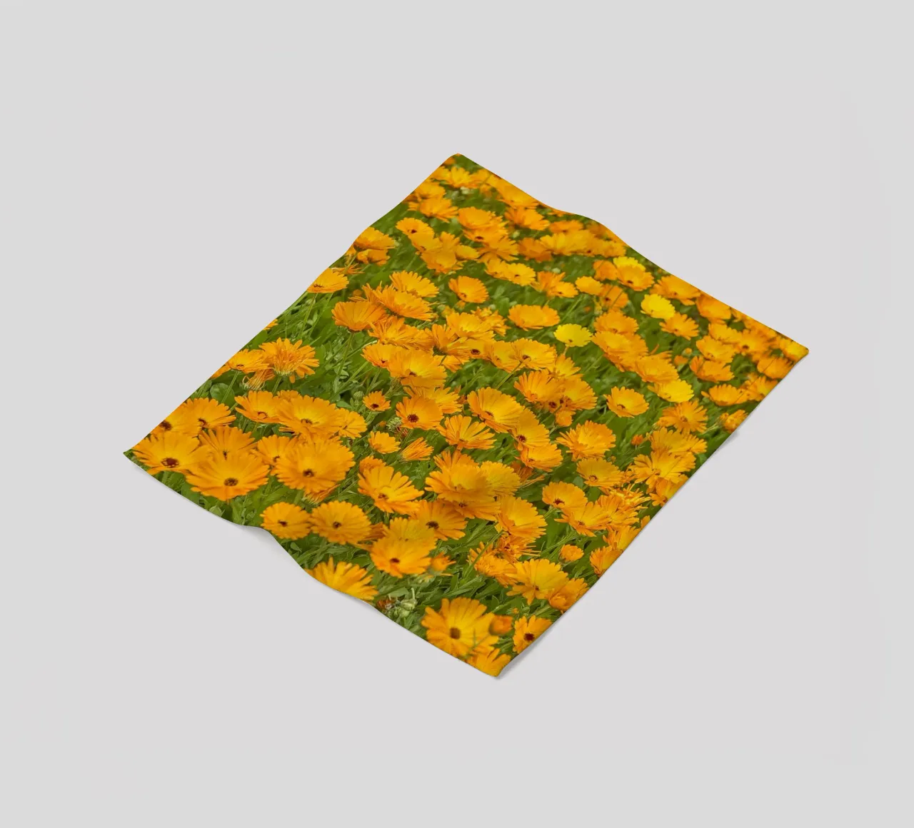 Crogiolarsi nella bellezza luminosa di un campo di fiori di Calendula coperta in pile da Curious Collections by Marielle Leenders