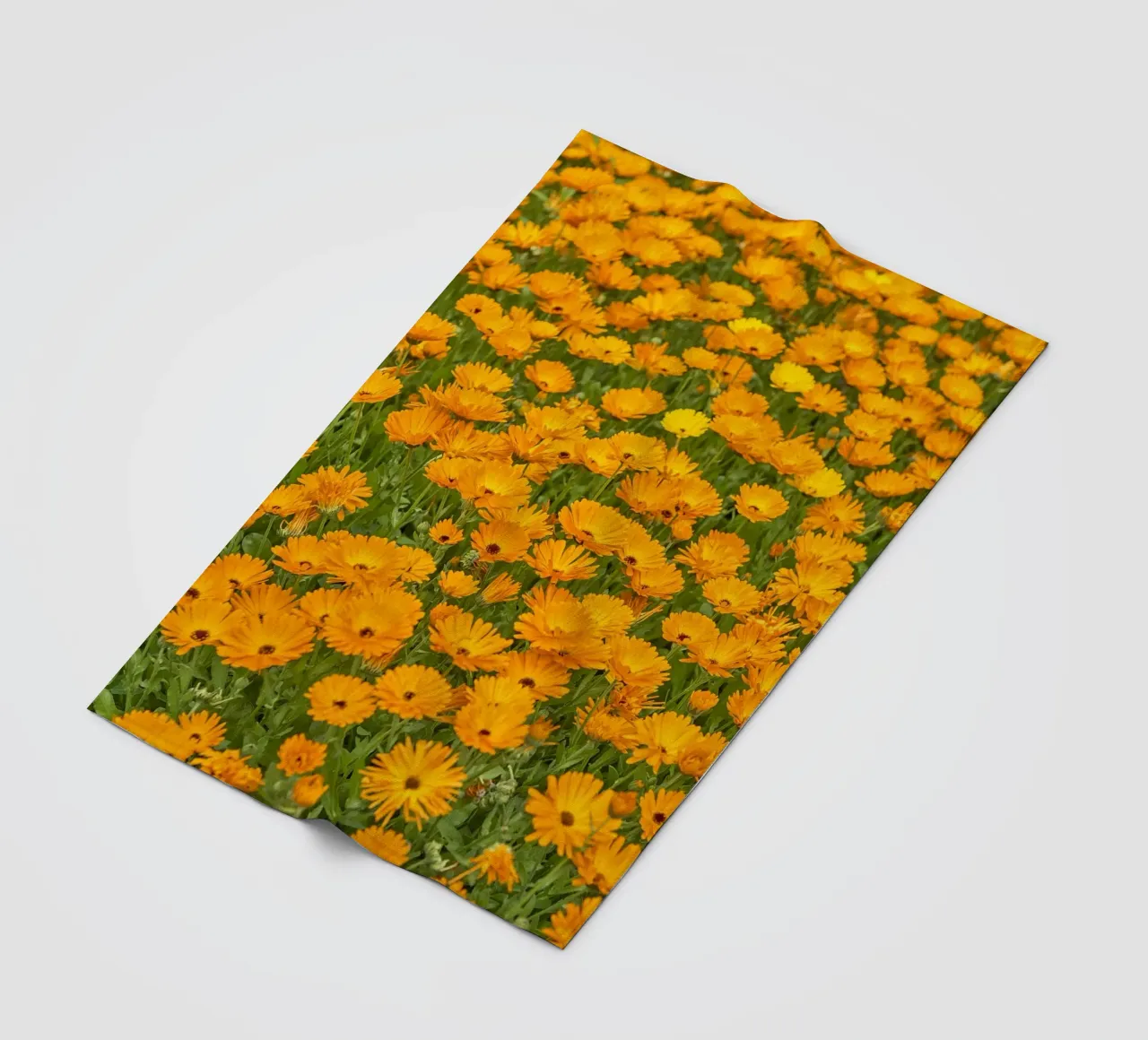 Crogiolarsi nella bellezza luminosa di un campo di fiori di Calendula coperta in pile da Curious Collections by Marielle Leenders