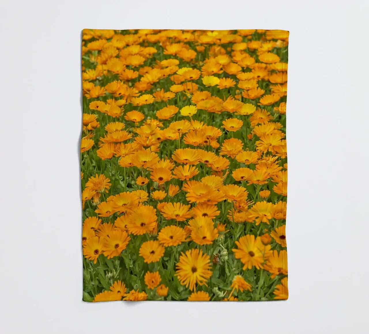 Crogiolarsi nella bellezza luminosa di un campo di fiori di Calendula coperta in pile da Curious Collections by Marielle Leenders