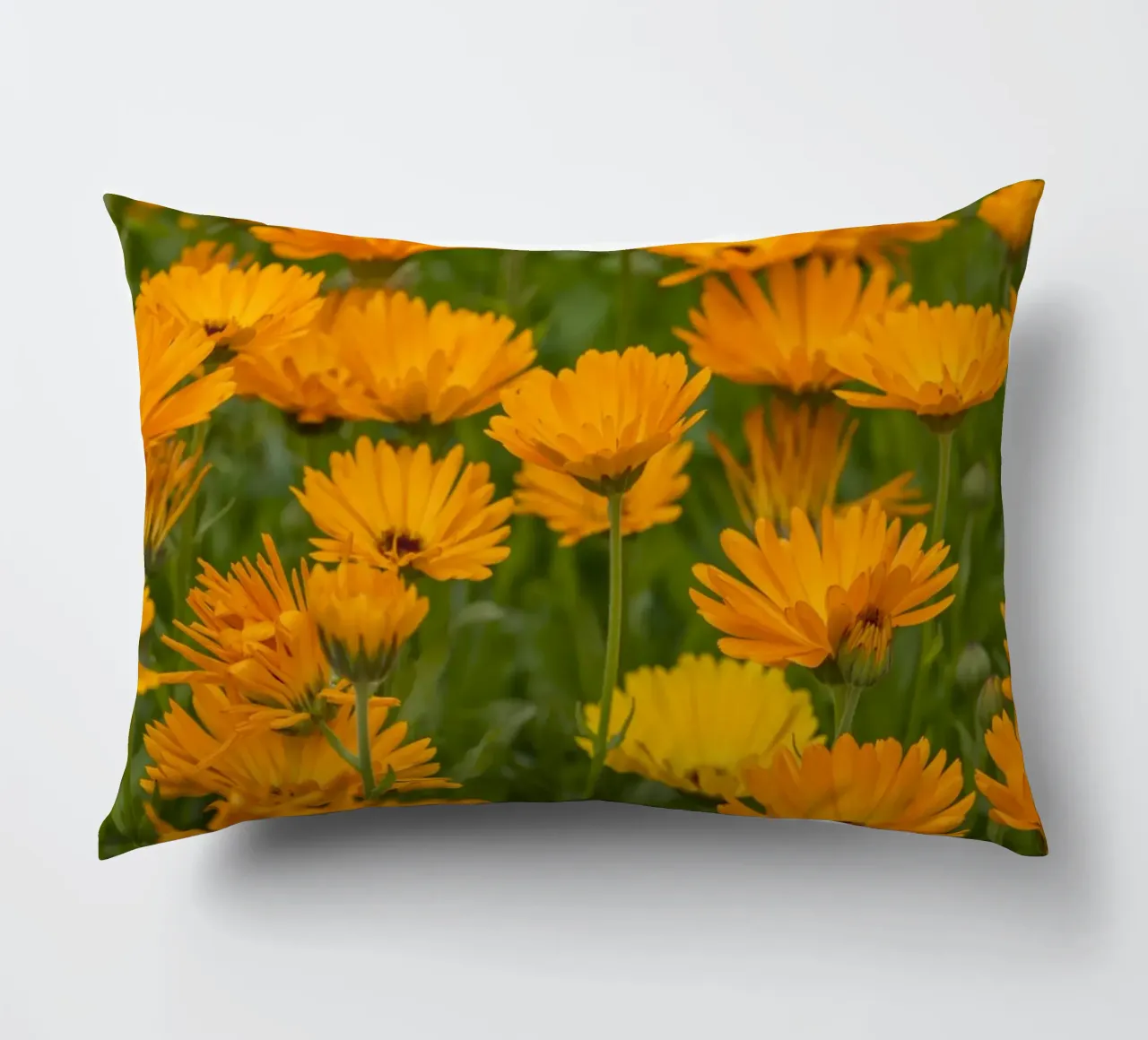 Fiori di calendula cuscino da Curious Collections by Marielle Leenders