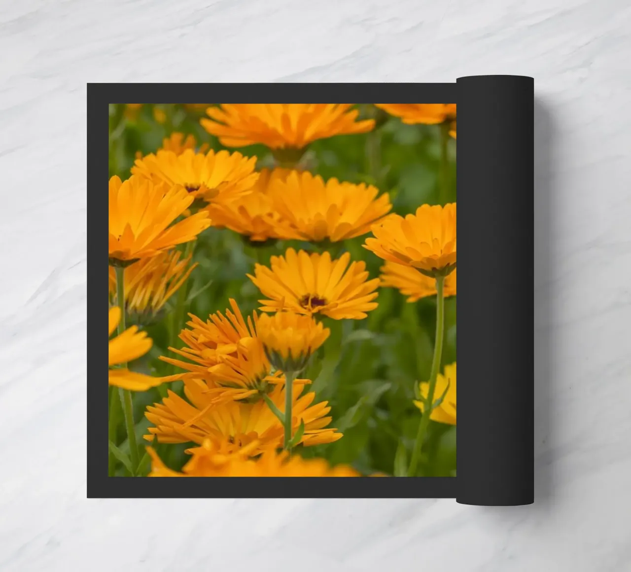 Fiori di calendula zerbino da Curious Collections by Marielle Leenders