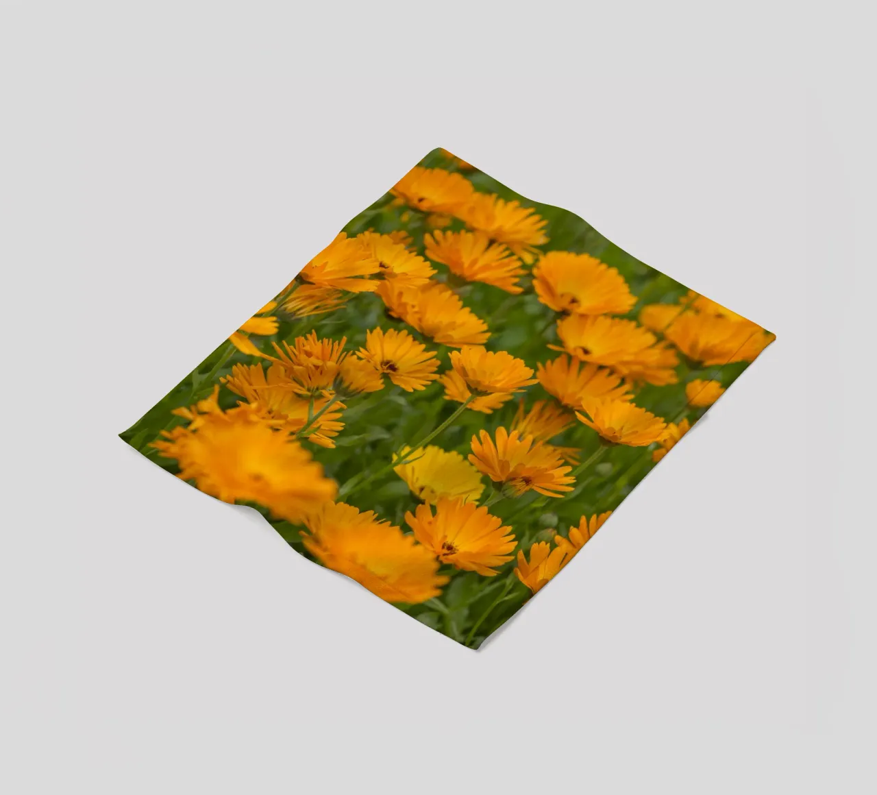 Fiori di calendula coperta in pile da Curious Collections by Marielle Leenders