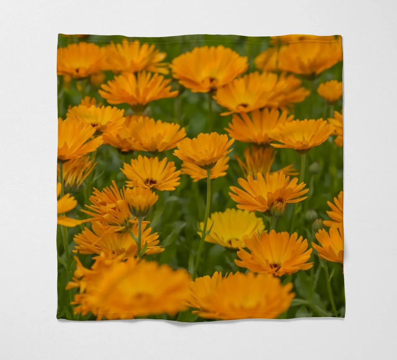 Fiori di calendula coperta in pile da Curious Collections by Marielle Leenders