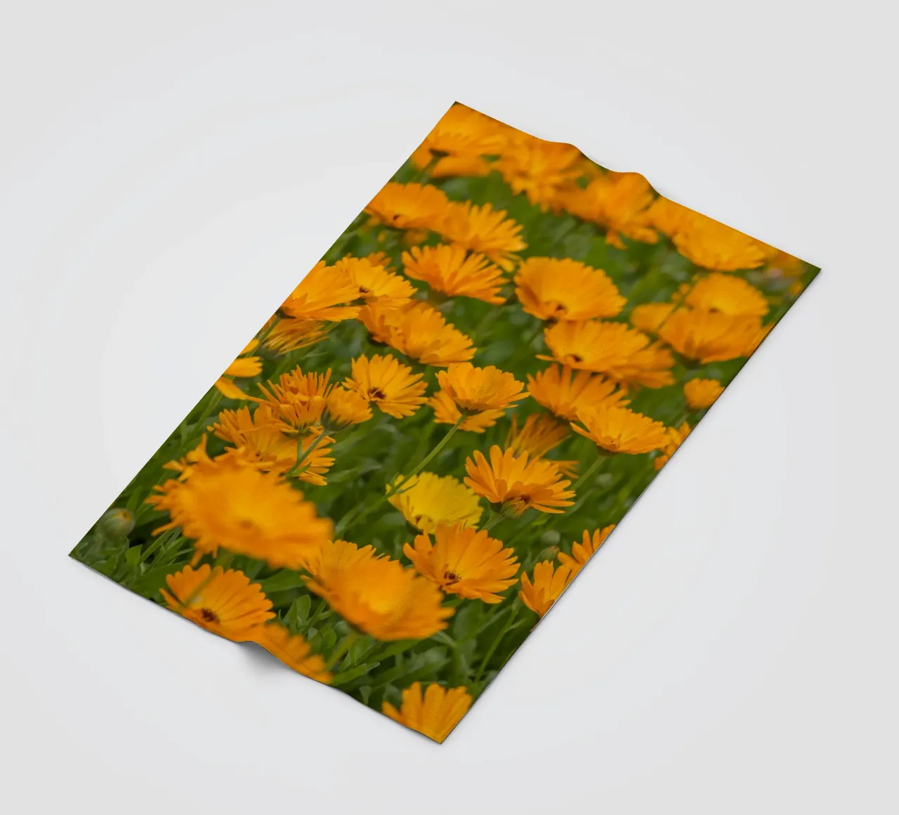 Fiori di calendula coperta in pile da Curious Collections by Marielle Leenders