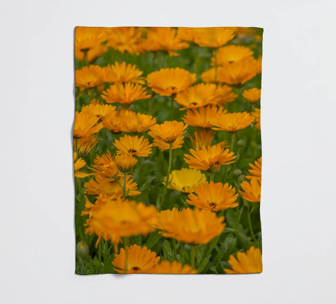 Fiori di calendula coperta in pile da Curious Collections by Marielle Leenders