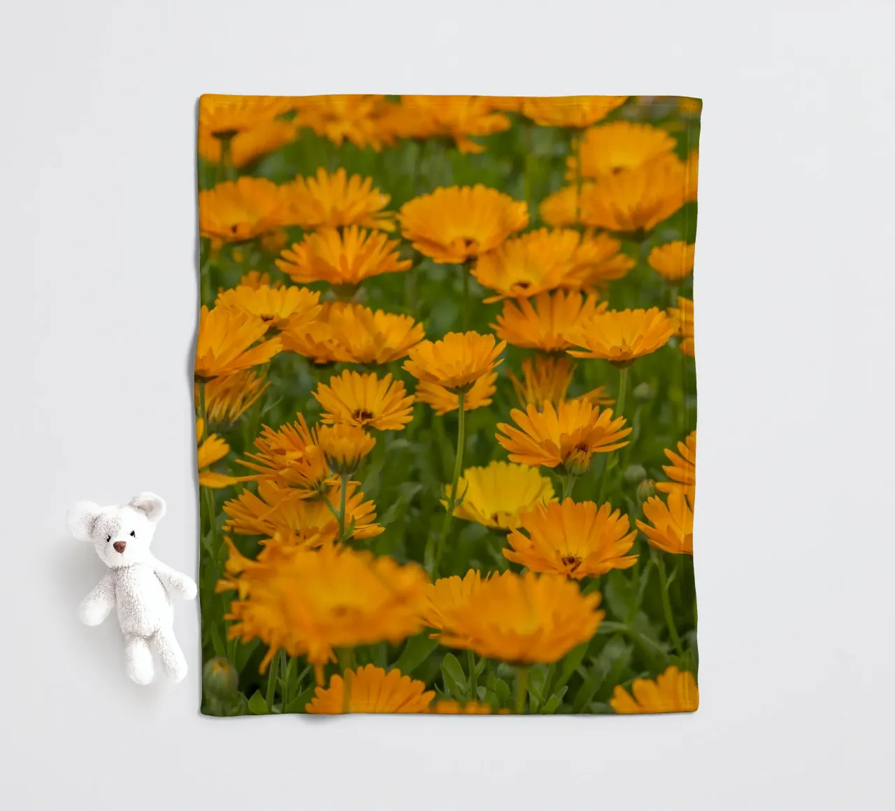 Fiori di calendula coperta in pile da Curious Collections by Marielle Leenders