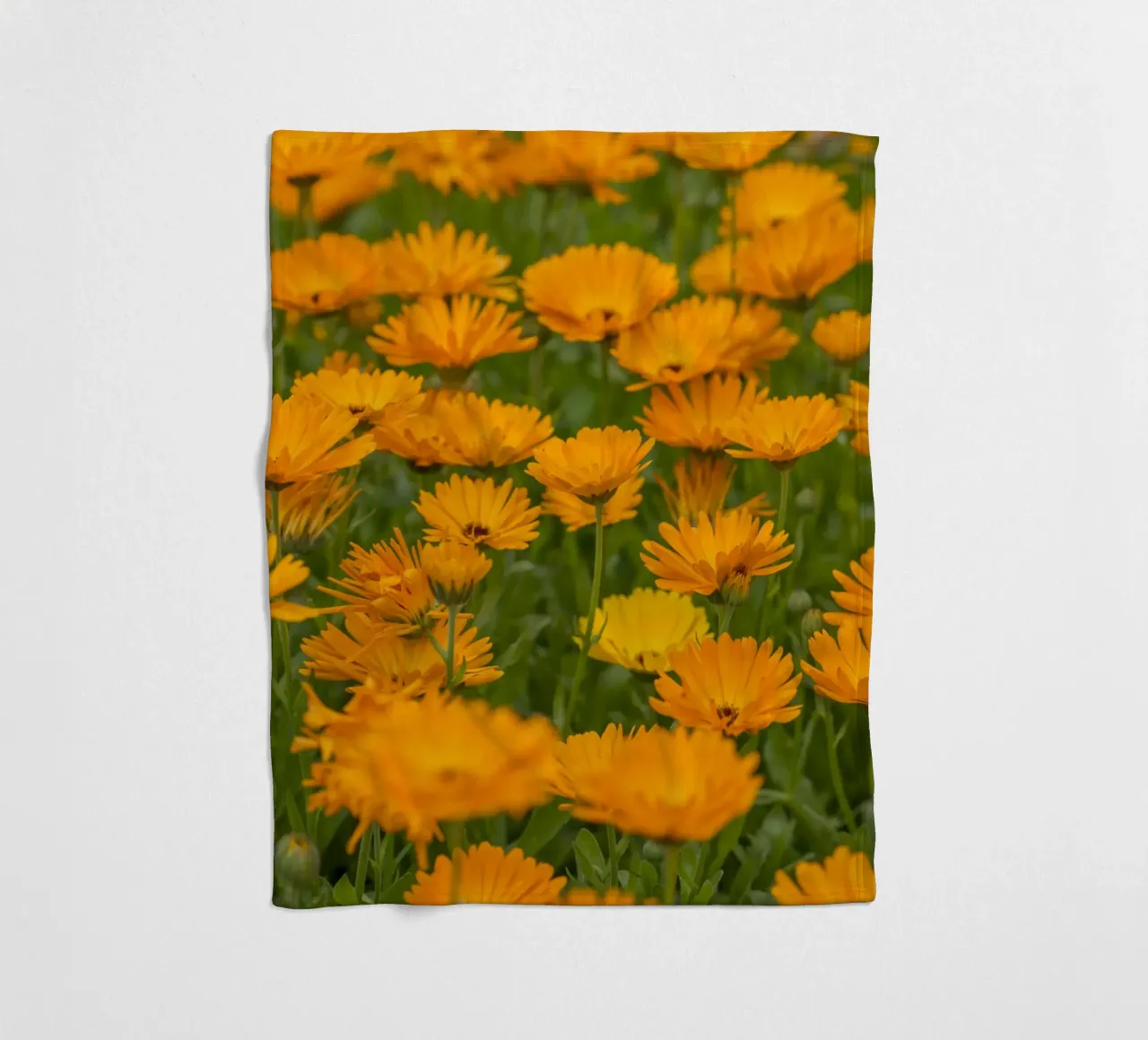 Fiori di calendula coperta in pile da Curious Collections by Marielle Leenders