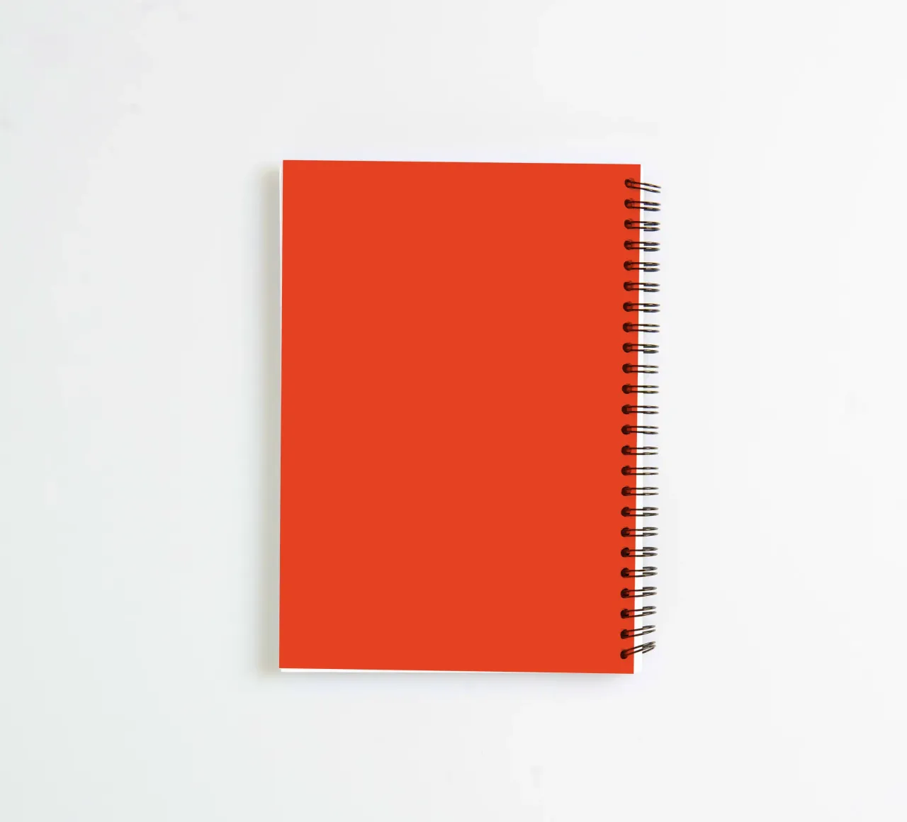 Abstract design of circles in red, beige and black spiral notebook by Lisa Jureczko Arts Illustration