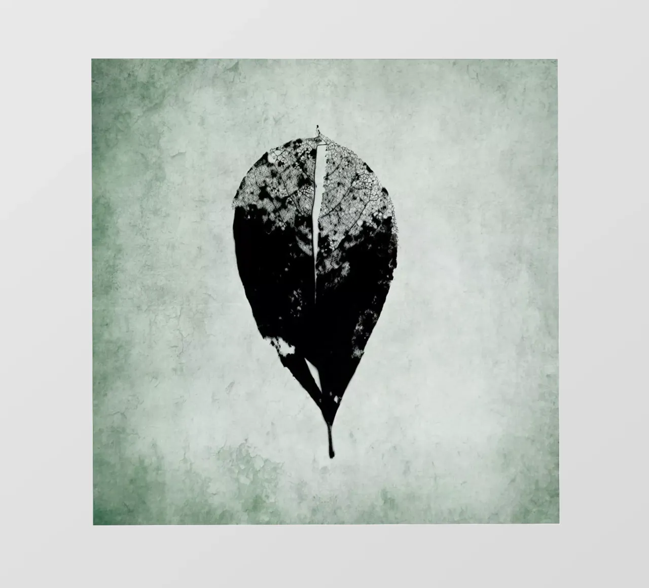 Leaf Skeleton pellicola backlit da IRIS LEHNHARDT FINE ART