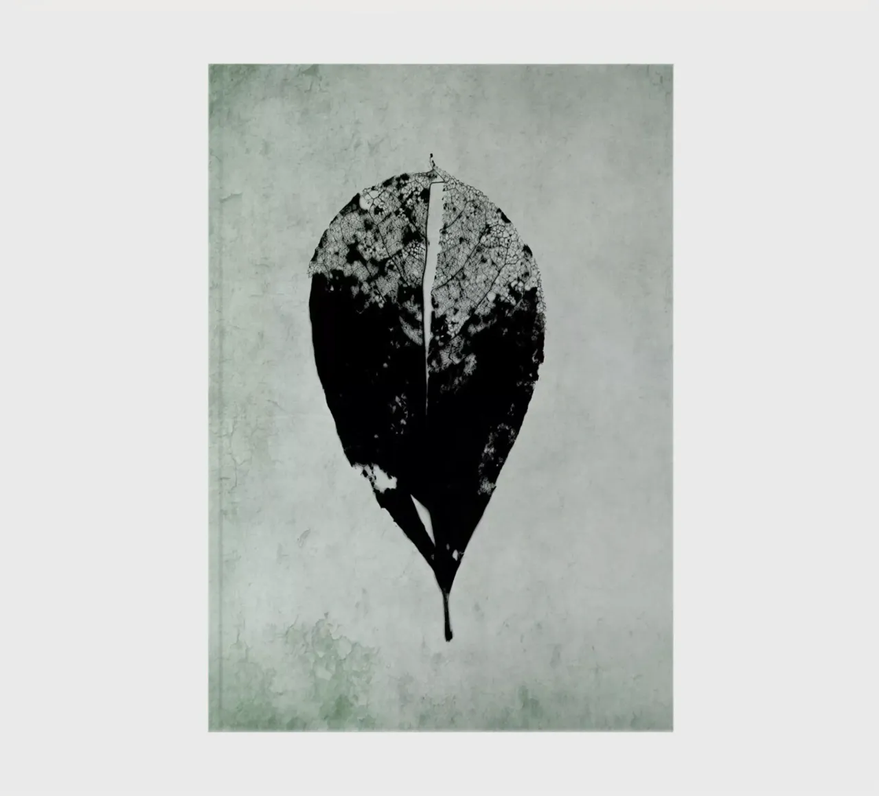 Leaf Skeleton notebook by IRIS LEHNHARDT FINE ART