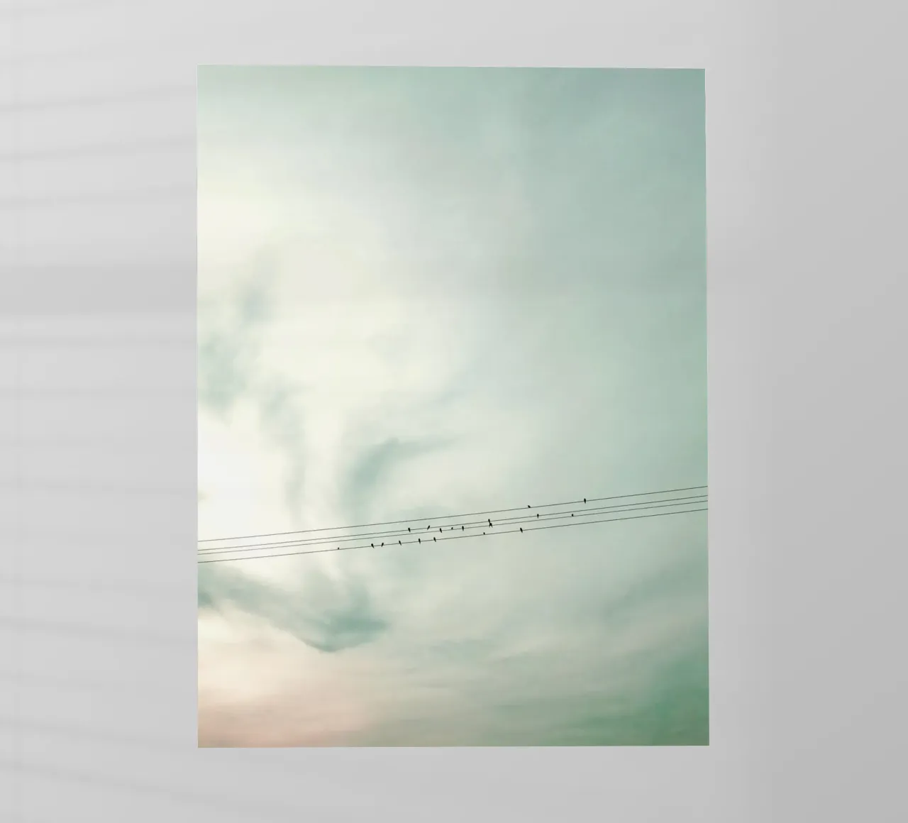 Leaving pellicola backlit da Angelo Cerantola