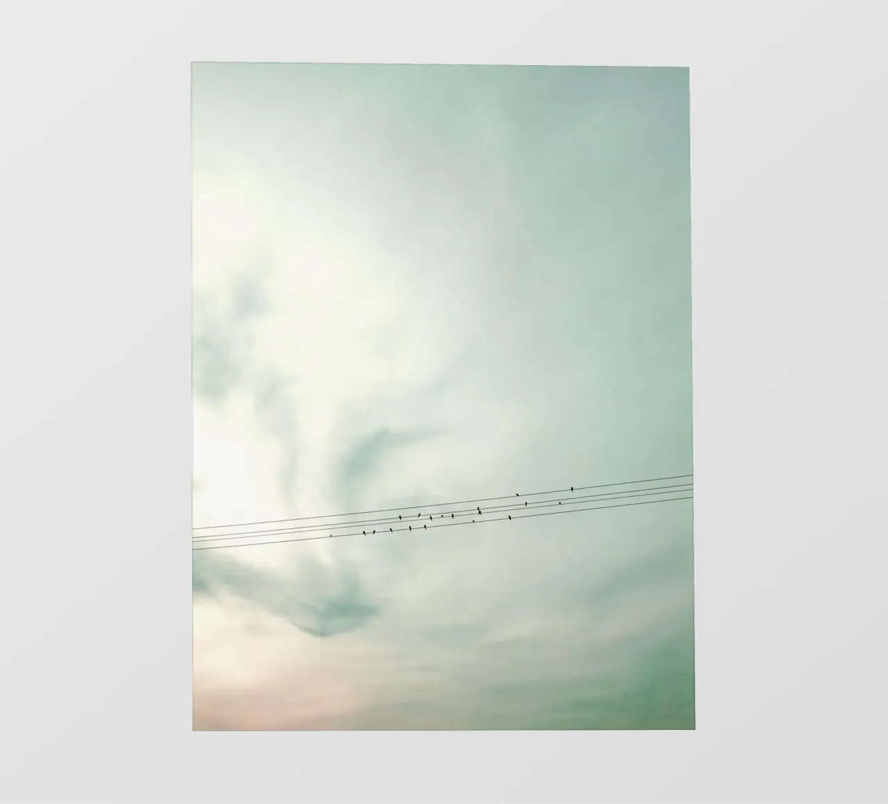 Leaving pellicola backlit da Angelo Cerantola