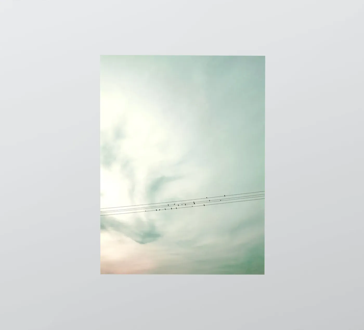 Leaving sticker by Angelo Cerantola