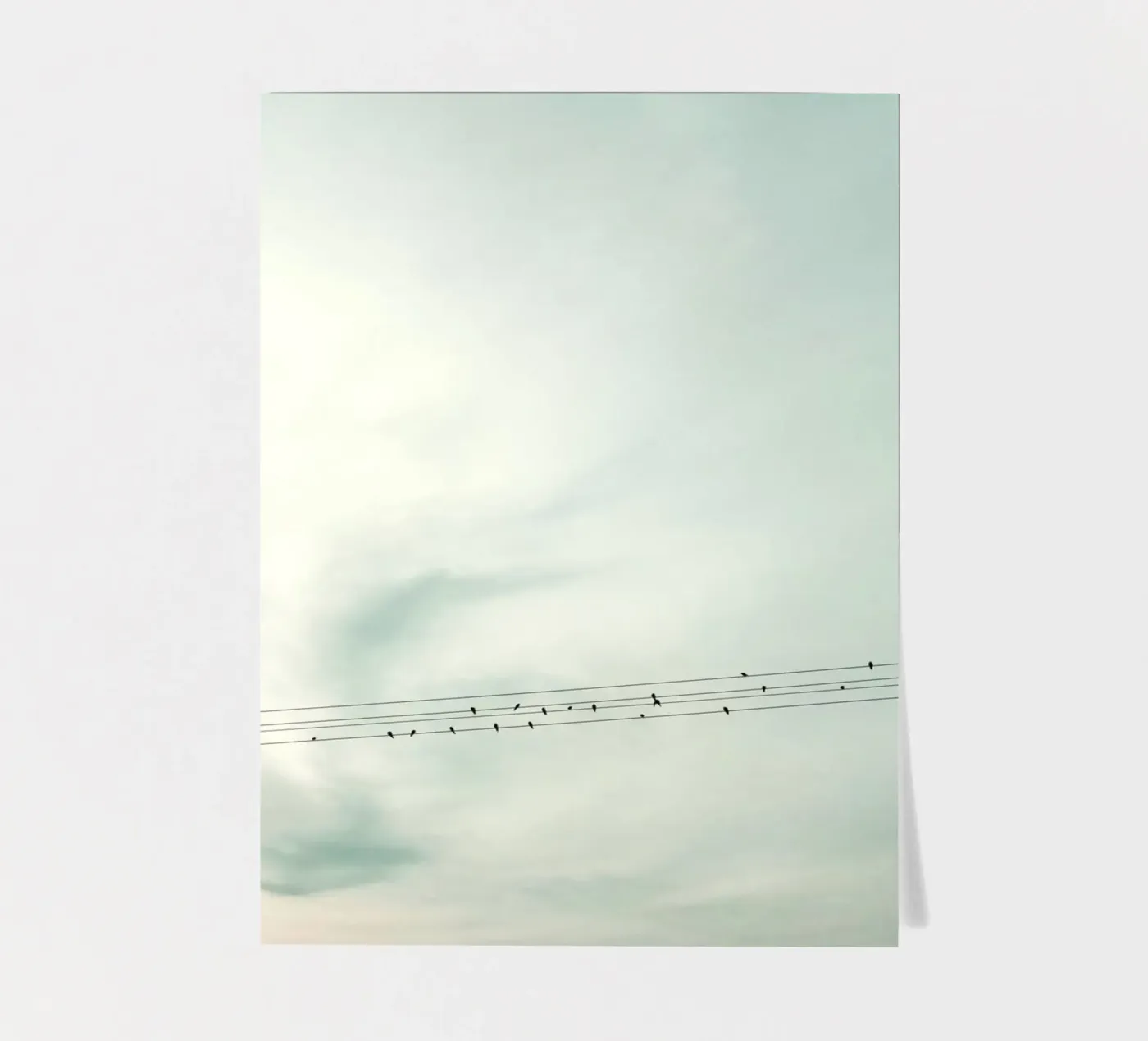 Leaving sticker sheet by Angelo Cerantola