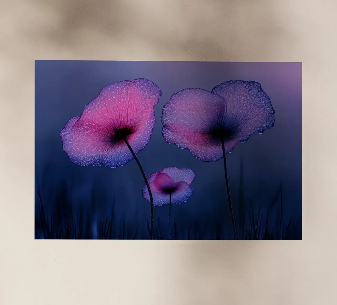 papaveri viola eterei con gocce di pioggia pellicola backlit da Flower Garden - Uta Naumann