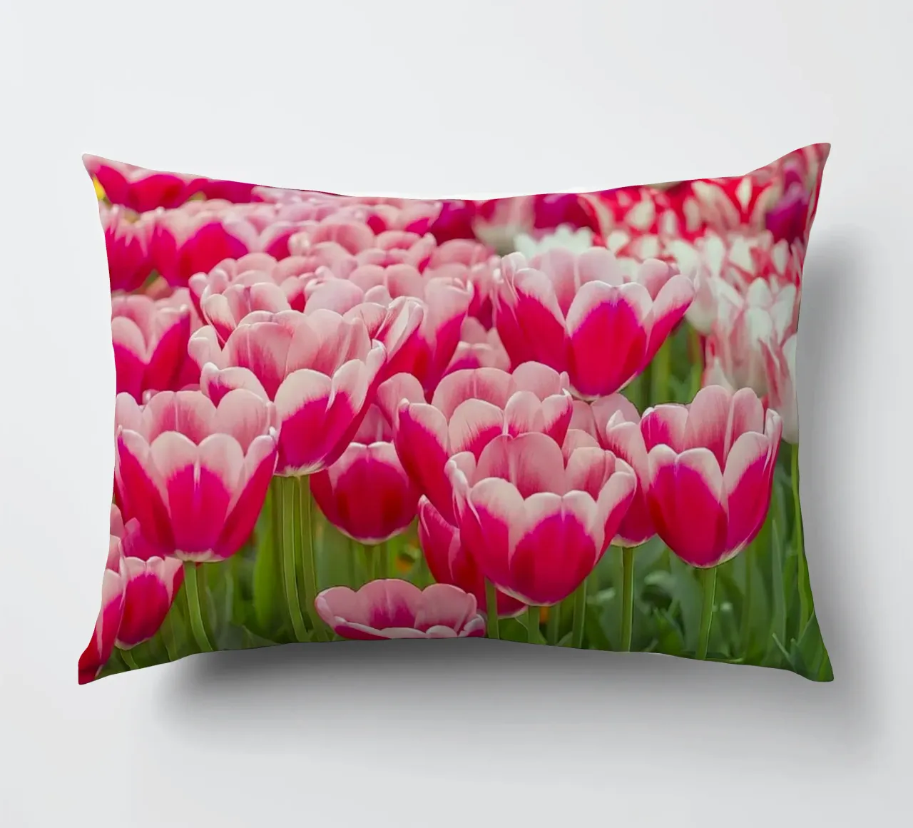 Fields of Joy: Vibrant Tulips in Bloom decorative cushion by Curious Collections by Marielle Leenders