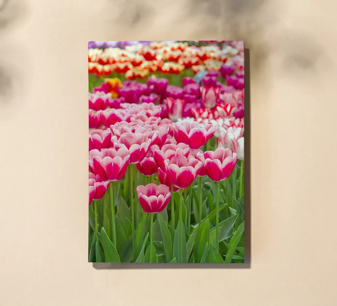 Fields of Joy: Vibrant Tulips in Bloom notebook by Curious Collections by Marielle Leenders