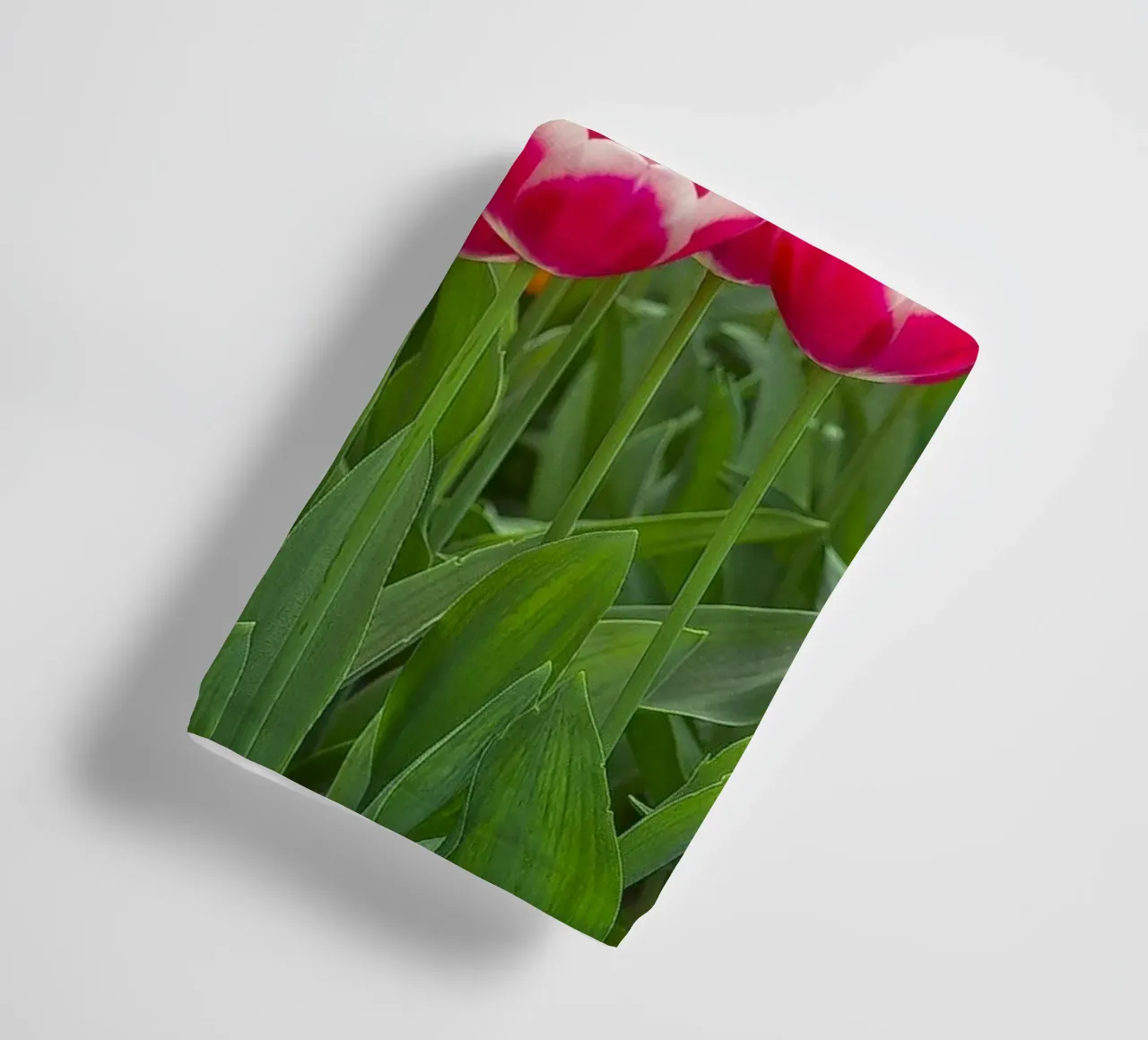 Fields of Joy: Vibrant Tulips in Bloom towel by Curious Collections by Marielle Leenders